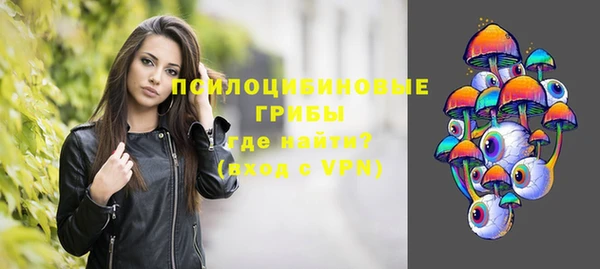 мдпв Новокубанск