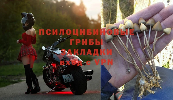 PSILOCYBIN Новозыбков