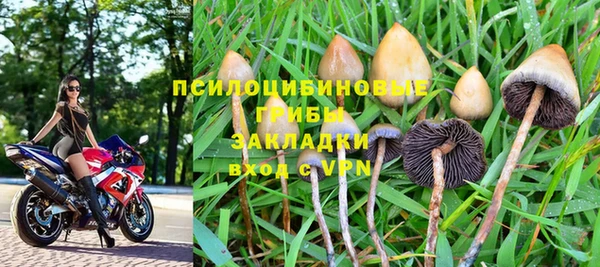 PSILOCYBIN Новозыбков