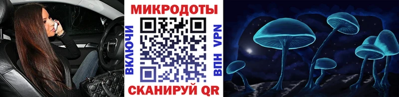 Купить закладки  Челябинск  Псилоцибиновые грибы MAGIC MUSHROOMS 